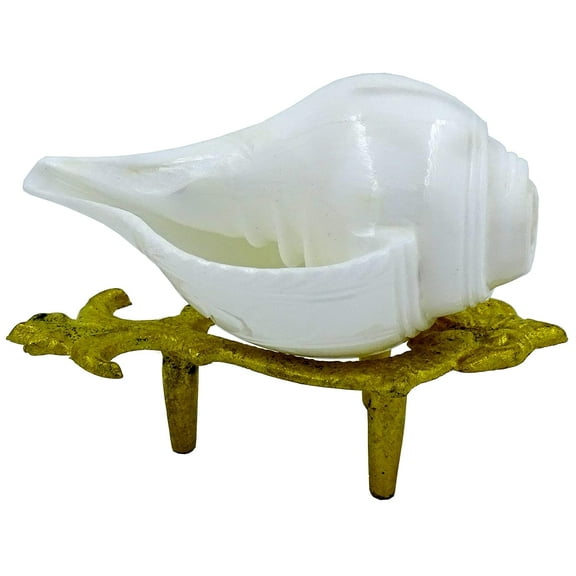 Blowing Shankh for Pooja Original Conch Shell with free Brass Shankh Stand (3.5 Inch, Very Small) By Indian Collectible