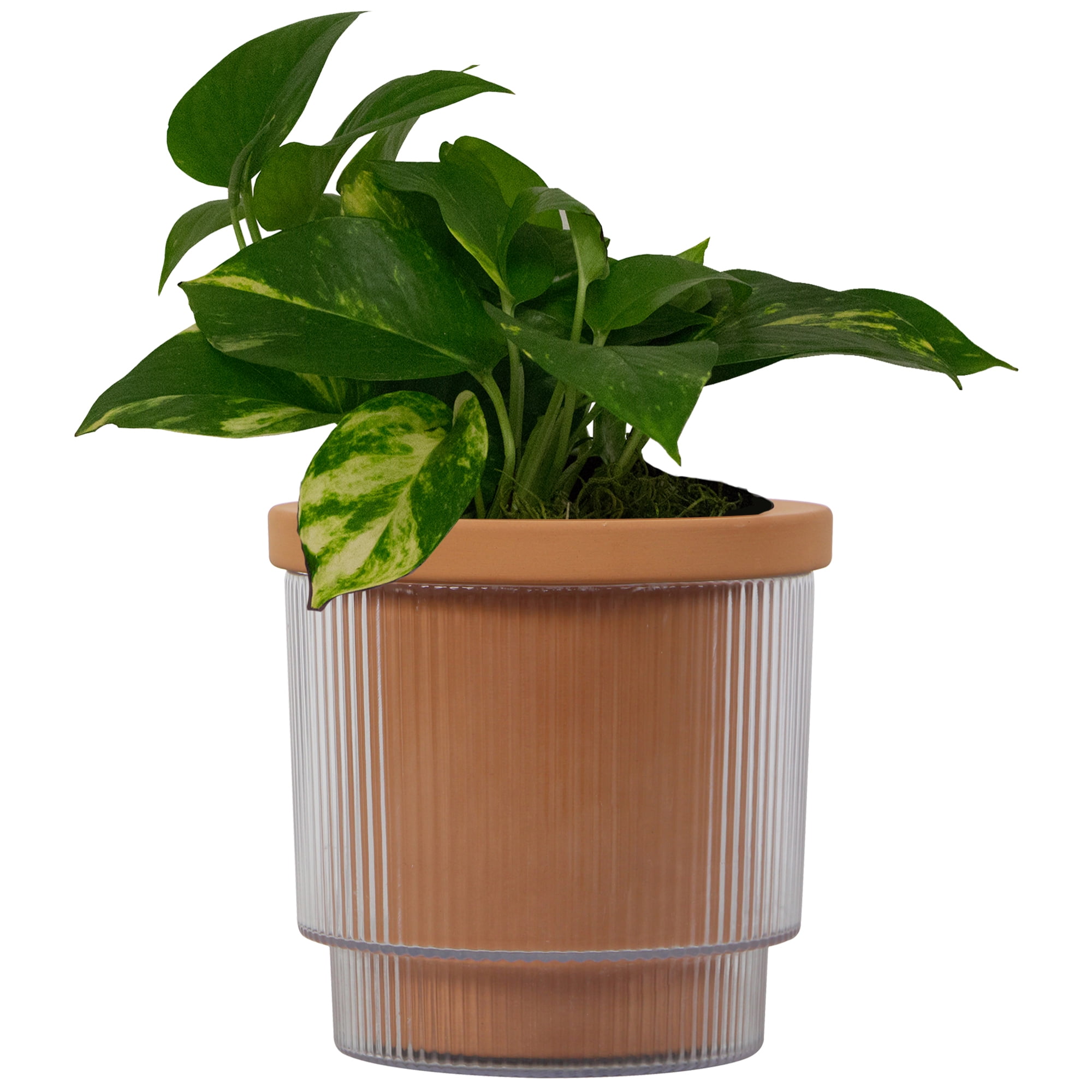 Mainstays 6in Aquaterra Self Watering Planter, Two-Piece Terracotta Inner  Pot in Modern Design - Walmart.com