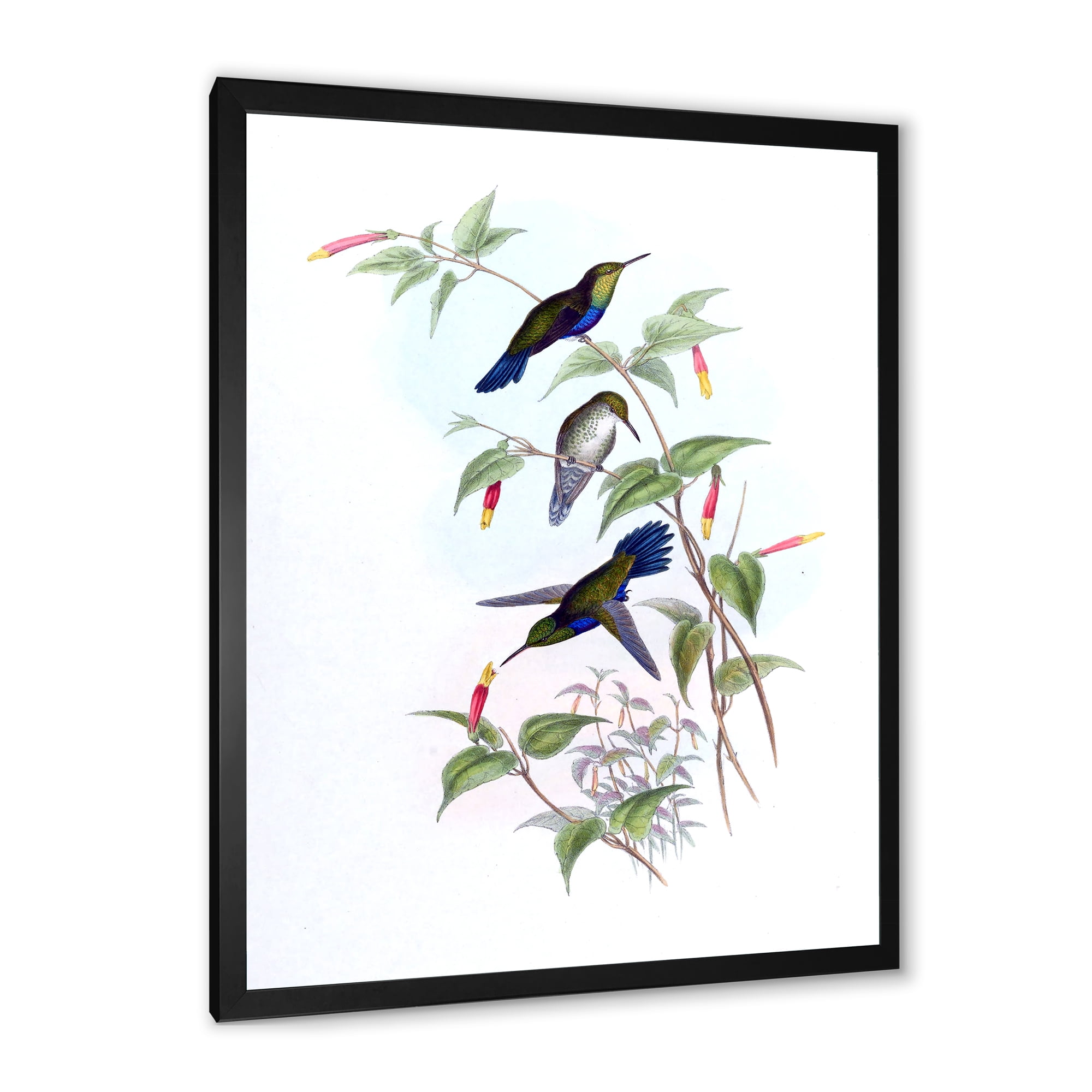 Designart 'Ancient Hummingbird I' Traditional Framed Art Print