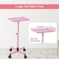 thumbnail image 3 of Bestauty Hair Color Tray with Wheels and Adjustable Storage Shelf for Salon Professionals, 3 of 6
