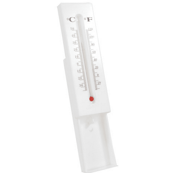 Safety Technology DS-THERMOMETER Themometer Diversion Safe