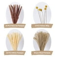 thumbnail image 6 of 65 Pcs Natural Dried Plants Pampas Grass, 30Pcs Reed Grass, 20Pcs White Pampas, 10Pcs Brown Pampas & 5Pcs Billy Balls, 6 of 8