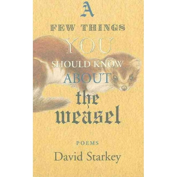 Few Things You Should Know About the Weasel