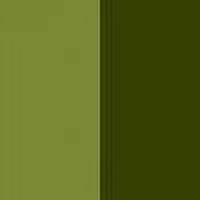 Dark Olive Green & Light Olive Green