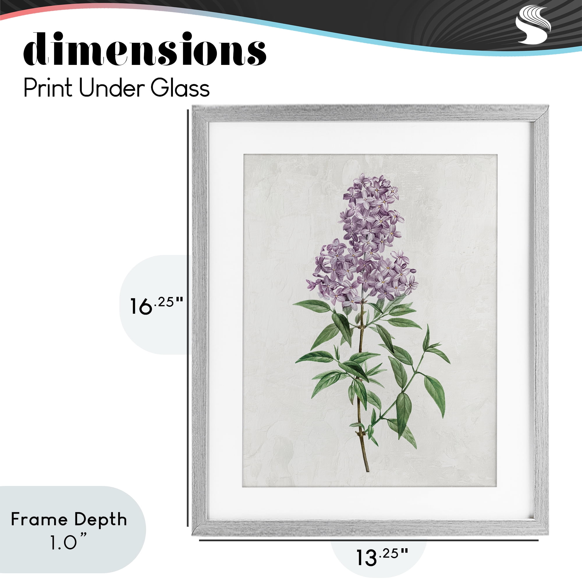 Stupell Industries Lilac Blossoms Blooms Gray Framed Print Under Glass, design by Kim Allen