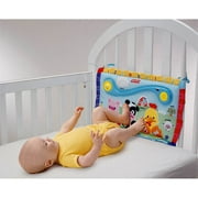 Fisher Price Kick 'n Feel Farm Friends