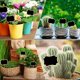 thumbnail image 5 of 20 etiquetas para plantas de jardín (encaje cuadrado), etiquetas de pizarra, etiquetas de madera para plantas, ecológicas, jardín, semillas, árboles, hierbas, flores, jardines, 5 of 5