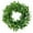 Green, variant on Front Door Wreaths, Artificial Spring Summer Greenery Hanging Garland for Home Wedding Window Wall Decoration Realistic Artificial Buxus Sinica Wreath Garland Home Decor Headwear