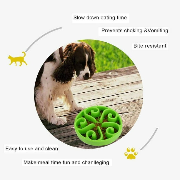 Medium dog bowls deals