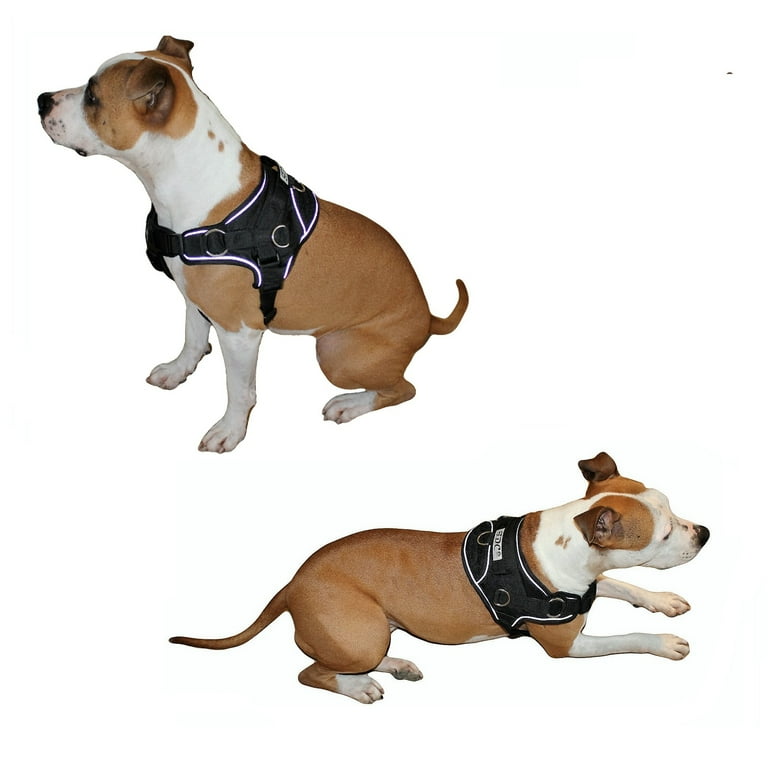 Durable 2025 dog harness