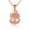Rose, variant on Gold United States Navy Officially Licensed Chief Petty Officer Anchor (10K White Gold, Pendant with 16" chain)