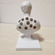 thumbnail image 5 of Estatua de Julio César, portalápices de escritorio, contenedor de lápices de resina para regalo de profesores, 5 of 8