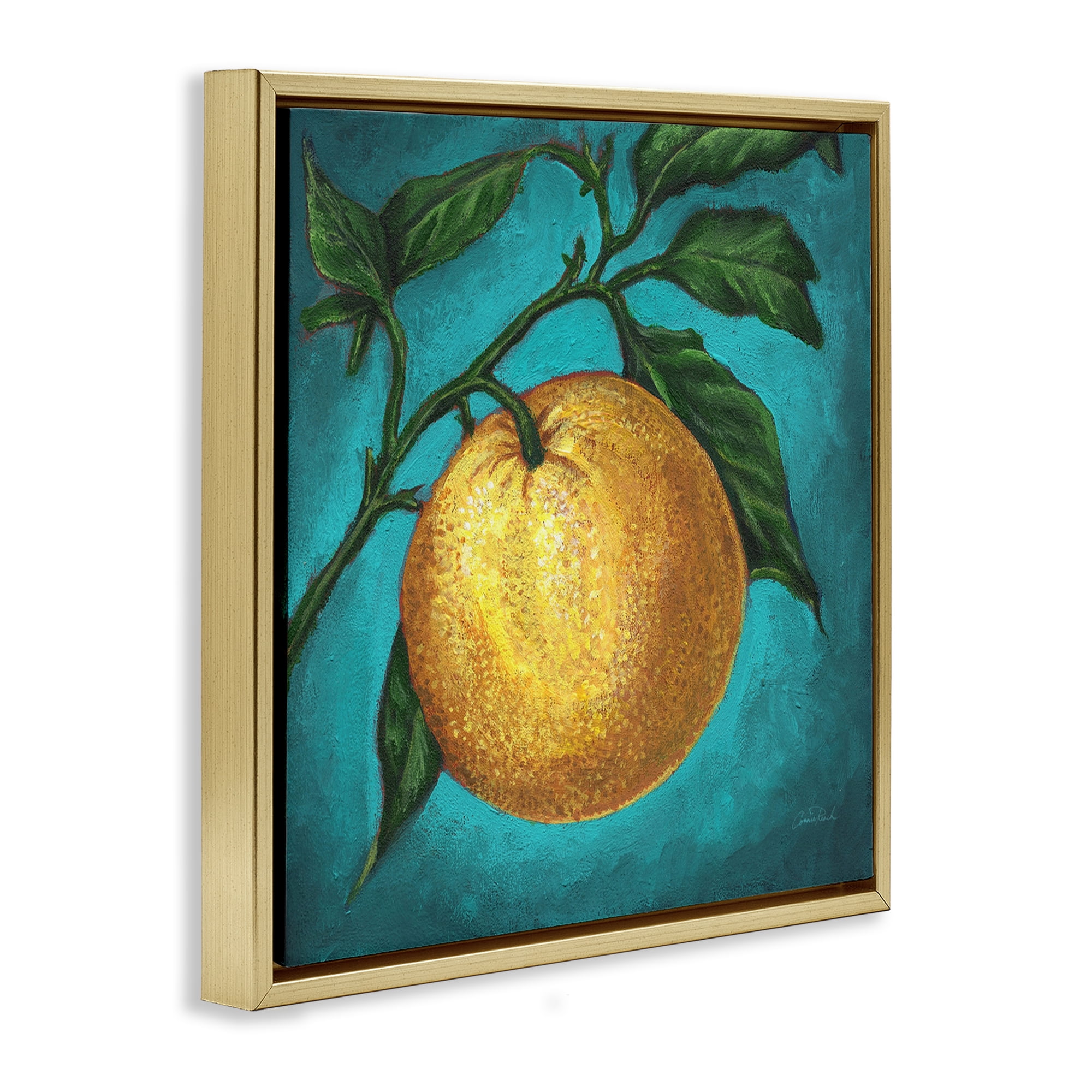Stupell Industries Citrus Fruit on Branch Food & Beverage Painting Gold Floater Framed Canvas Art Print Wall Art, 18 x 18