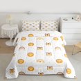 thumbnail image 2 of Homewish Cartoon Tiger Lion 3 Pieces Queen Comforter Set For Kids Boys Girls,Kawaii Rainbow Ultra Soft Bedding Sets,Starry Sky Bedding Comforter Set,Microfiber Bedroom Decor,Reversible, 2 of 8
