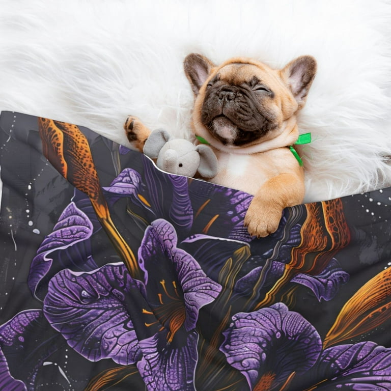 Qekee Ornate Purple Floral Vase Print Pet Blankets Super Soft Fluffy Premium Pet Blanket Flannel Throw for Dog Puppy Cat Small Walmart