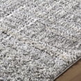 thumbnail image 4 of Hauteloom Brevyn Living Room, Bedroom Area Rug - Bohemian, Transitional - High Pile - Light Gray, Black, Off White - 5'3" x 7', 4 of 6