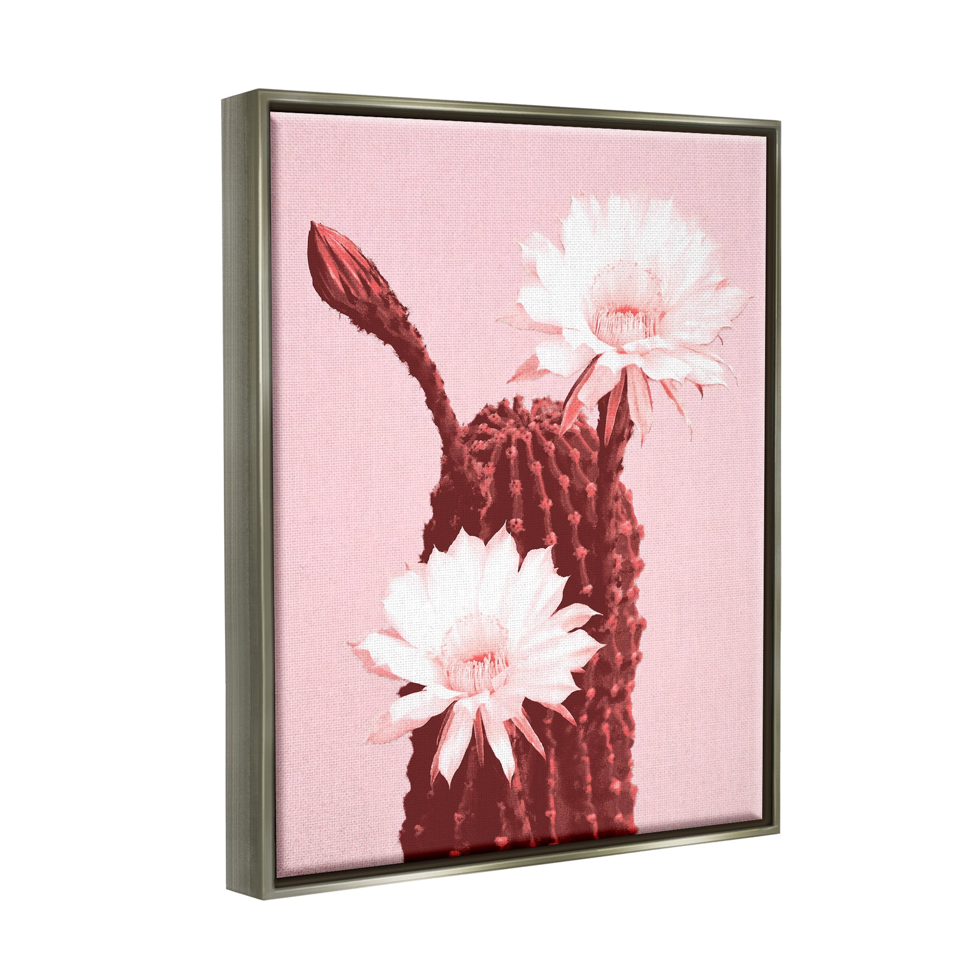 Stupell Industries Pink Cactus Flowers Botanical & Floral Painting Gray Floater Framed Art Print Wall Art, 17 x 21
