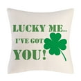 thumbnail image 7 of ZPAQI Saint Patricks Day Pillow Cover Square Linen Pillowcase Clover Letters Design, 7 of 7