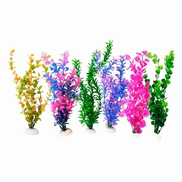 Plantas para Acuario Lomas 30 cm 6 Pzas