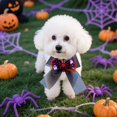 thumbnail image 5 of Collier d'Halloween pour Chiens et Chats, Accessoire de Costume en Polyester Durable à Mâcher pour Usage Intérieur et Extérieur, 5 of 5