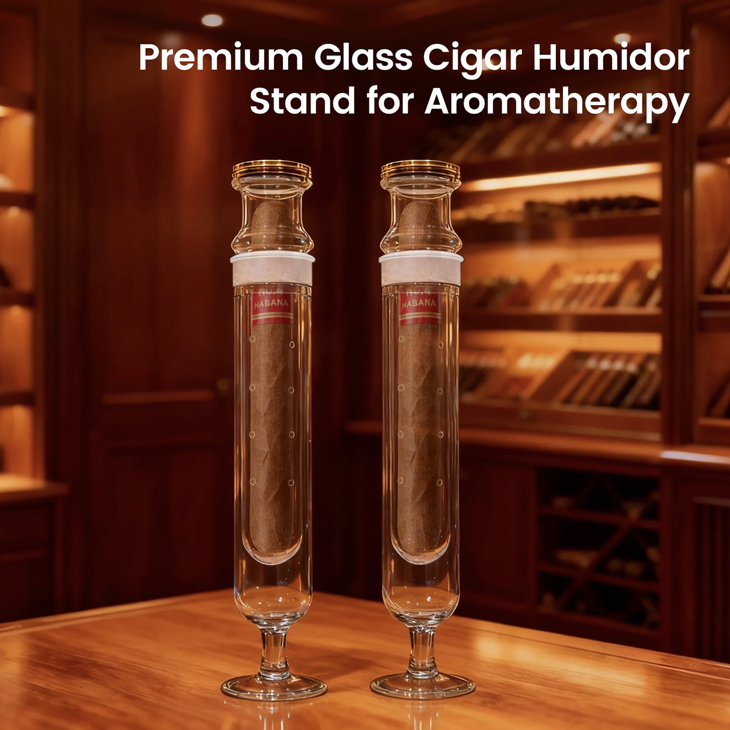 Glass Cigar Aromatherapy Humidor Tube Kit with Hygrometer, Borosilicate Glass Construction, Built-in Stand Base, 256x50mm, 8 Air Vents, Dual Chamber Design