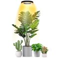 thumbnail image 1 of LED Grow Lights for Indoor Plants   Smart Full Spectrum USB Small Plant Lights with Auto On/Off Timer for Home Decoration  Height Adjustable  Warm White, 1 of 9