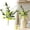 B, variant on Z52LingLing Decoration Spring/Summer Artificial Daisy Spray (Pink) – Set of 3 Decorative Stems