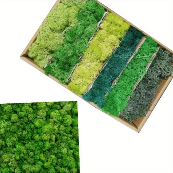 Iceland Moss Decoration 240g, Artificial Moss for Crafts in 6 Colors, Realistic Moss for Painting, Model Making and Easter Decorations