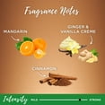thumbnail image 5 of Garnier Whole Blends Repairing Shampoo with Ginger and Golden Honey, Damaged Hair, 12.5 fl oz, 5 of 9