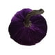 thumbnail image 1 of De Flocado Calabaza De Espuma Falsa Para La Decoración De Otoño Otoño Halloween Scienceny HA043942-05, 1 of 6