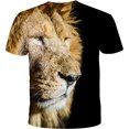 thumbnail image 2 of Xishao Playeras Hombre Camiseta Personalizada con Estampado De León para Hombre, Camiseta De Manga Corta con Estampado 3D, Camiseta Informal De Verano con Cuello Redondo De Hip-Hop para Hombre CAW-001 Xishao ropa, 2 of 2