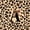 Black Brown A, variant on Castle Fairy Leopard Bow Letter H Full Size Comforter Sets 3 Pieces for Girls,Wild Pattern Bedding Sets for Bedroom,Black Reversible