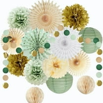 Green and Pink Party Decor Set for Women's Celebrations, Tissue Pom Poms, Paper Lanterns, Paper Fans, 14 Pcs