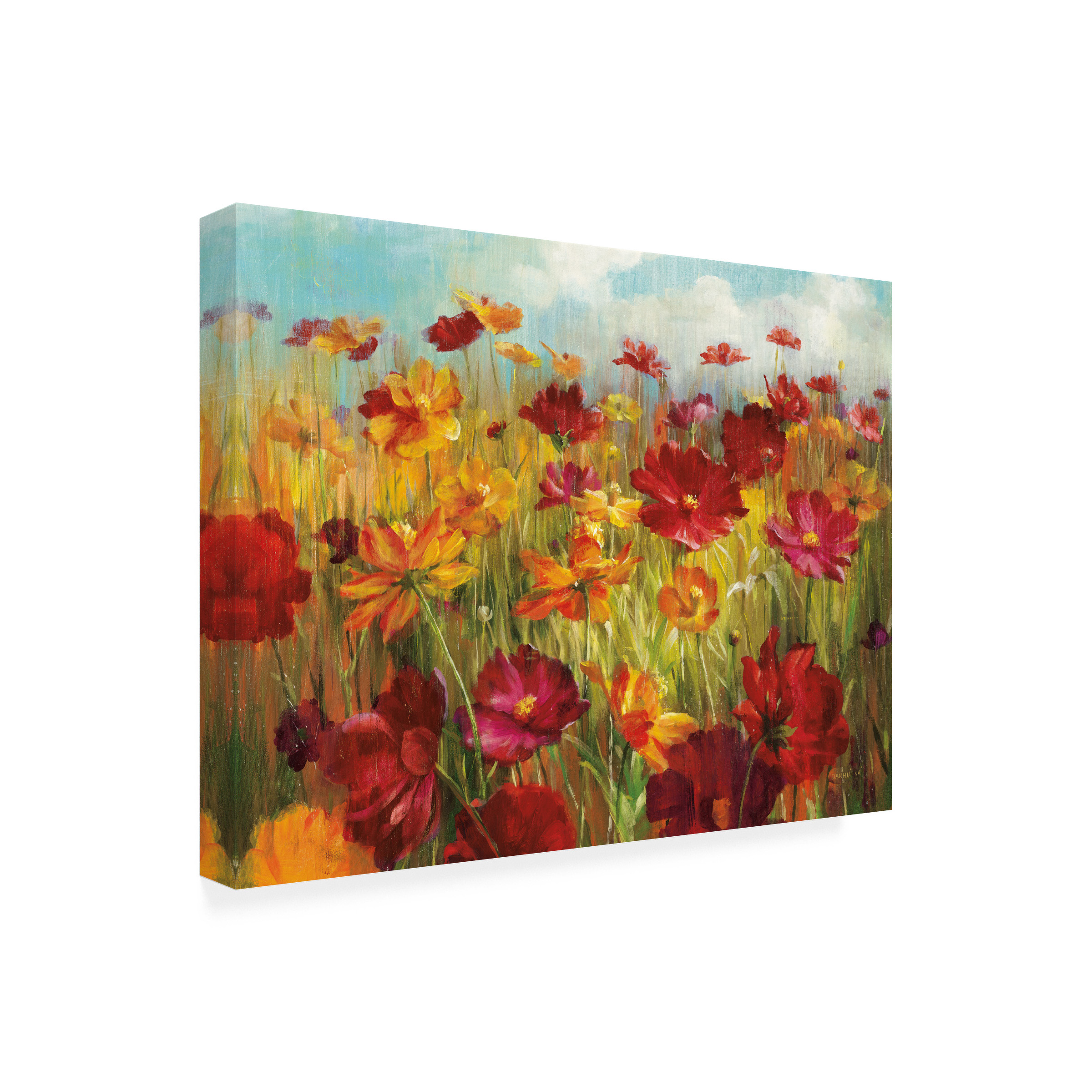 Trademark Fine Art 'Cosmos in the Field' Canvas Art by Danhui Nai
