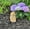 6"H Natural Stone, variant on Stone Age Creations 12 in Hand Carved Boulder Stone Owl Garden Statue