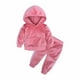 thumbnail image 2 of Ropa Para Bebés Y Niñas, Atuendo Para Niños Pequeños, Suéter Con Capucha De Terciopelo Dorado Para Otoño E Invierno, Top De Manga Larga, Pantalones Informales, Traje Rosa Odeerbi  LM103-7042, 2 of 9