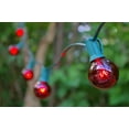 thumbnail image 3 of Outdoor String Lights Globe String Lights 1.5 Inch E12 Bulbs 25 Foot Green Wire C7 Strand Red, 3 of 3