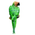 thumbnail image 2 of Dvkptbk The Statue Hanging Parrot Statue in Courtyard Garden Tree Interior Home Decoration Home Decor on Clearance, 2 of 4