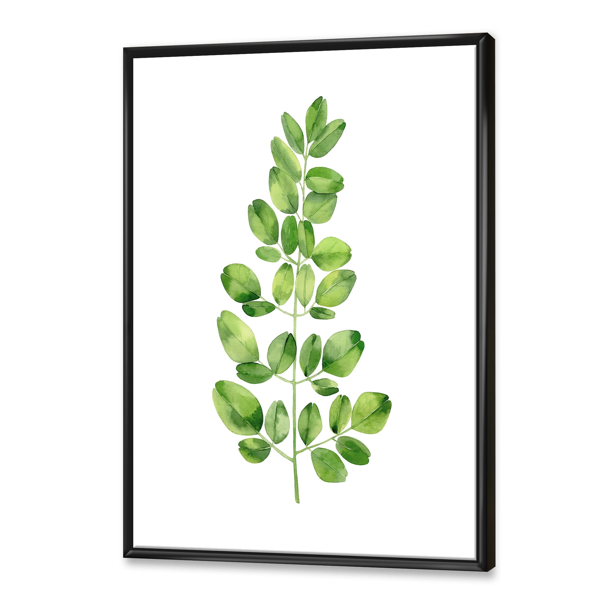 Designart 'Moringa Plant Branch Tropical Tree Foliage' Farmhouse Framed Canvas Wall Art Print