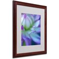 thumbnail image 1 of Trademark Fine Art 'The Color Purple' Matted Framed Art by Kathy Yates, 1 of 2