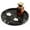 Black, variant on Radicaln Green Marble 10" Round Serving Tray for Party Supplies Ideal Food & Cafeteria Trays for Kitchen, Serving Dishes & Platter, Decorative Coffee Table Platter & Fruit Tray for Home Décor