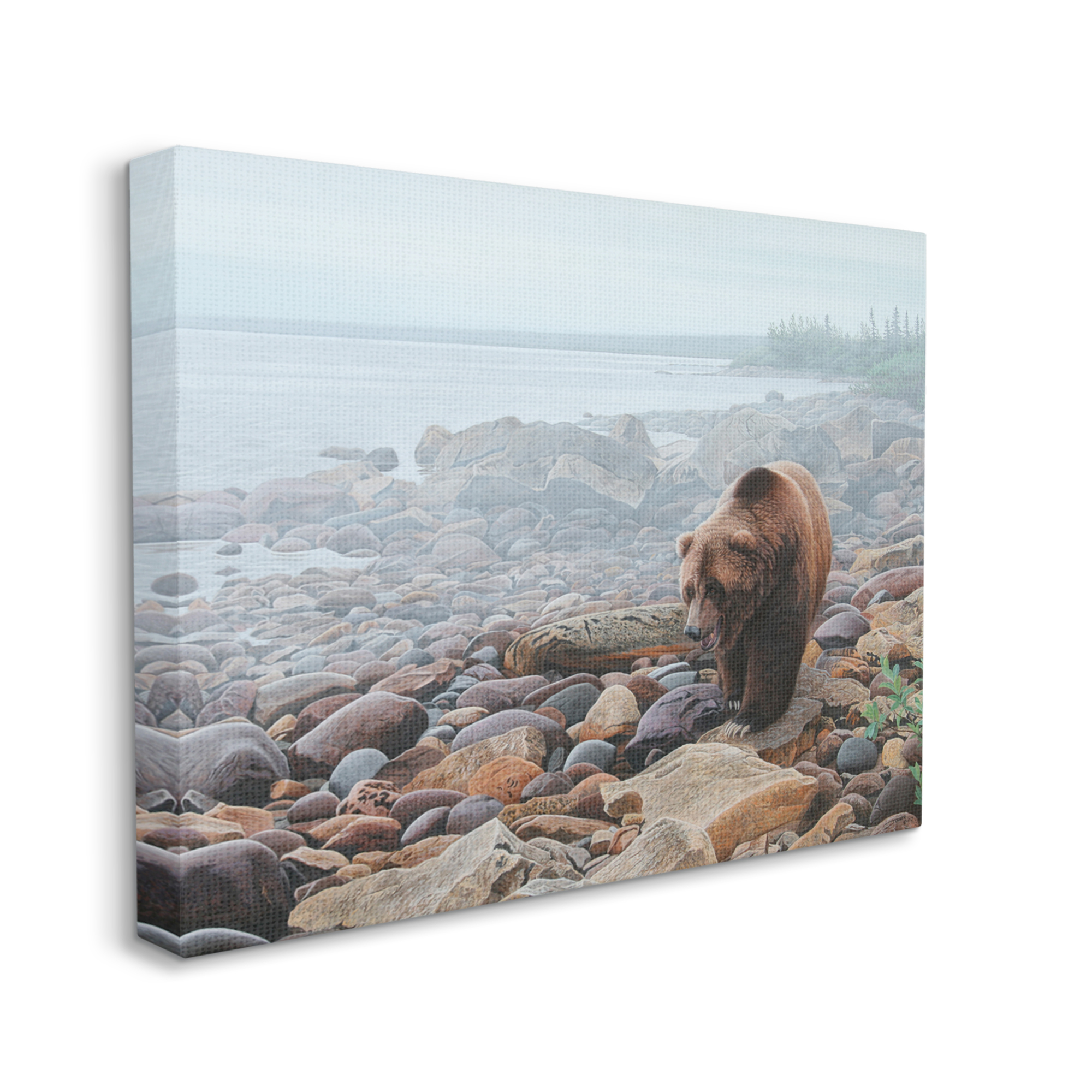 Stupell Industries Bear on Rocky Shore Nature Photography Gallery Wrapped Canvas Print Wall Art, 20 x 16