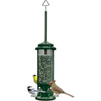 Squirrel Buster Legacy Squirrel-Proof Bird Feeder with 4 Feeding Perches, 2.6lb Seed Capacity