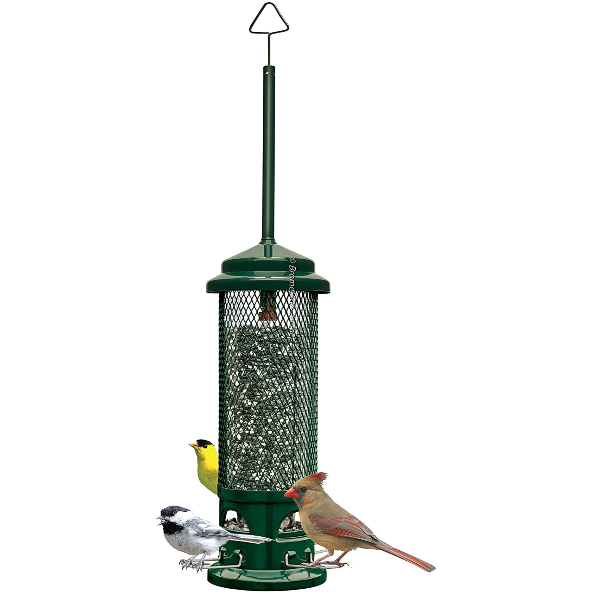 Squirrel Buster Legacy Squirrel-Proof Bird Feeder with 4 Feeding Perches, 2.6lb Seed Capacity