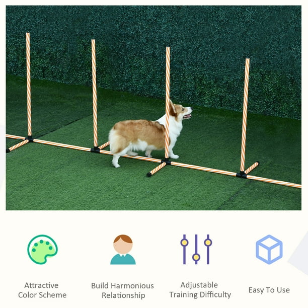 Agility Agility Kit d'entraînement pour chiens de grande taille avec tunnel pour  chien, obstacles réglables