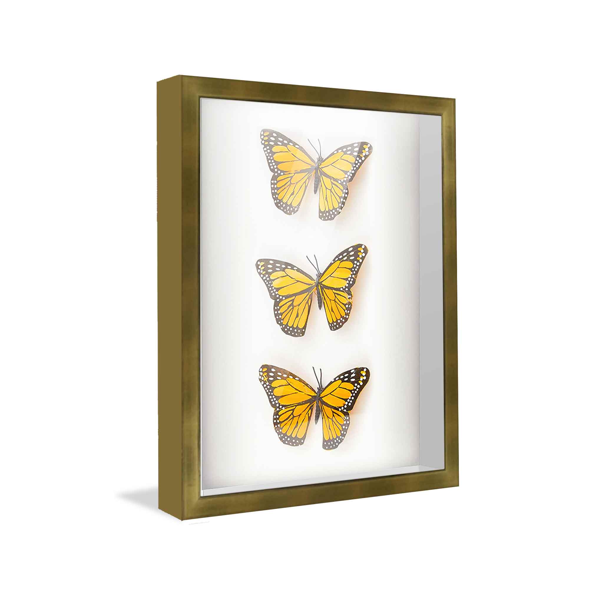 29x13 Shadow Box Frame Gold 1.375 inches Deep Real Wood Contemporary