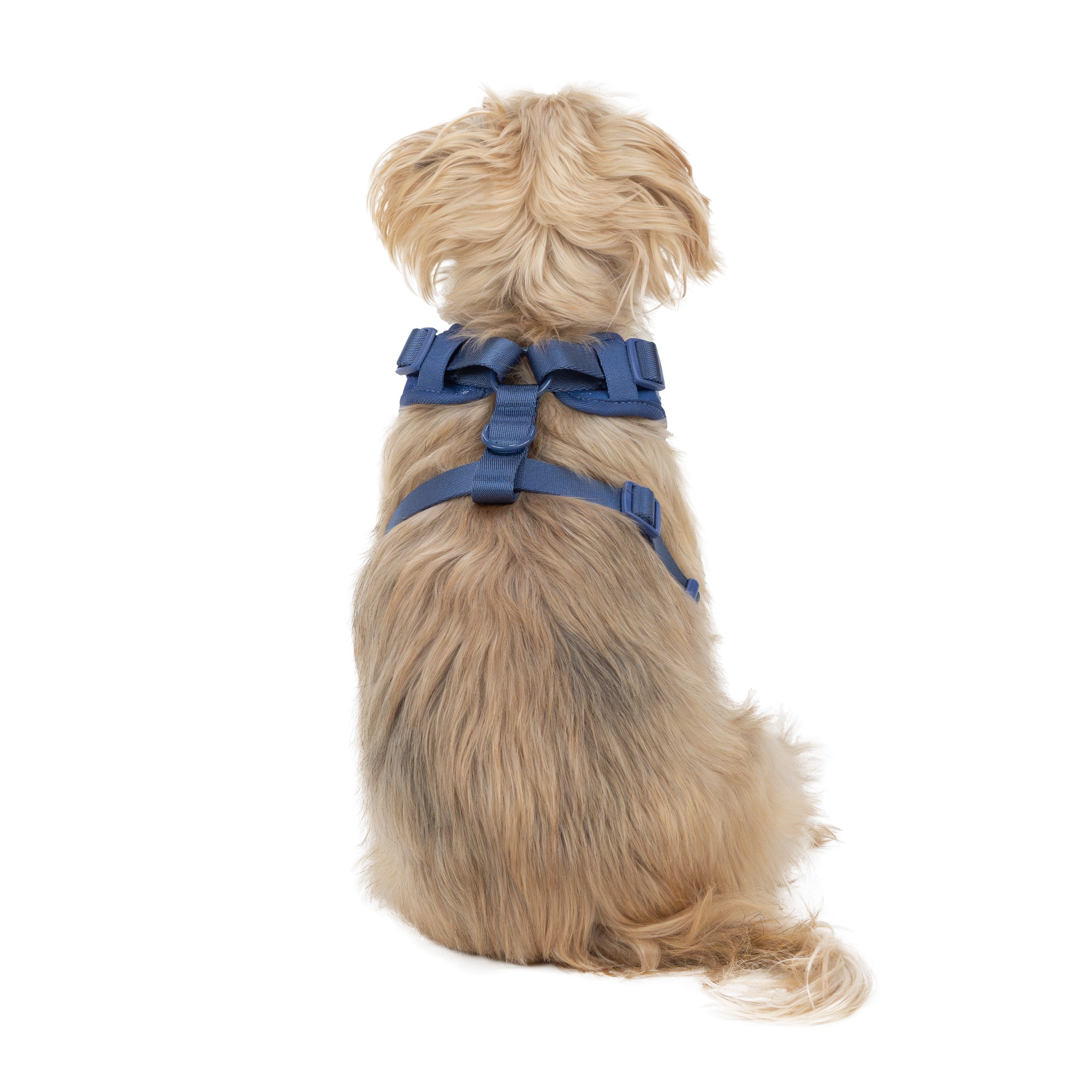 Vibrant Life 80064469 Polyester & Spandex Space Adventures Adjustable Dog Harness, Blue, Small