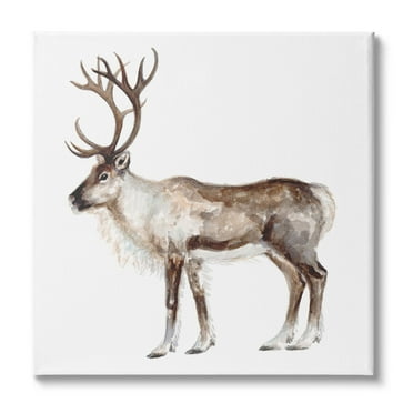 Stupell Industries Reindeer Wild Animal Children's Nursery Watercolor Painting, 24 x 24,Design by Fox Hollow Studios