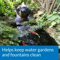 thumbnail image 5 of POND ALGAEFIX, 1 GALLON, 5 of 5