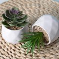 thumbnail image 4 of Moyic Simulación suculenta artificial Bonsai Flower Crafts Party Office Decoración tipo5, 4 of 6